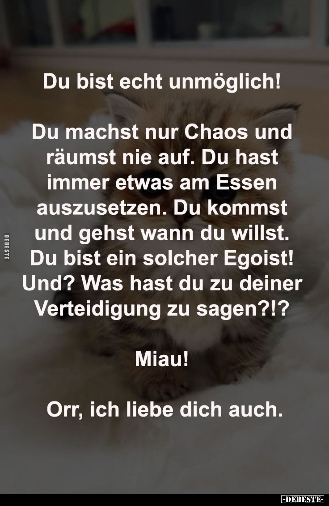 Du bist echt unmöglich!
-
Du machst nur Chaos und
räumst nie auf. Du hast
immer etwas am Essen
auszusetzen. Du komms...