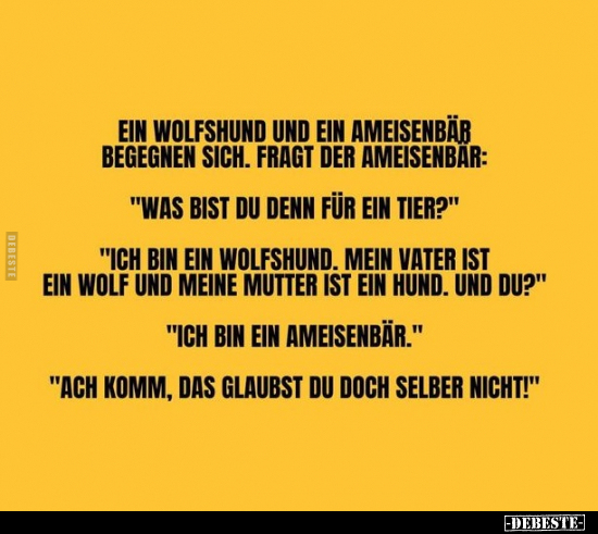 Ein Wolfshund und ein Ameisenbär begegnen sich.. - Lustige Bilder | DEBESTE.de