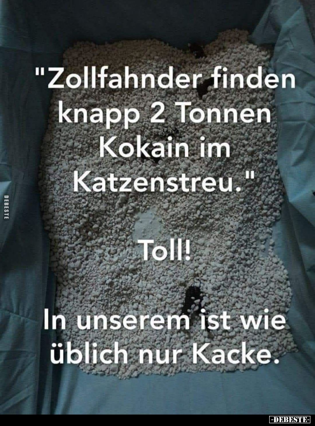"Zollfahnder finden knapp 2 Tonnen Kokain im Katzenstreu." -
Toll!
In unserem ist wie üblich nur Kacke.