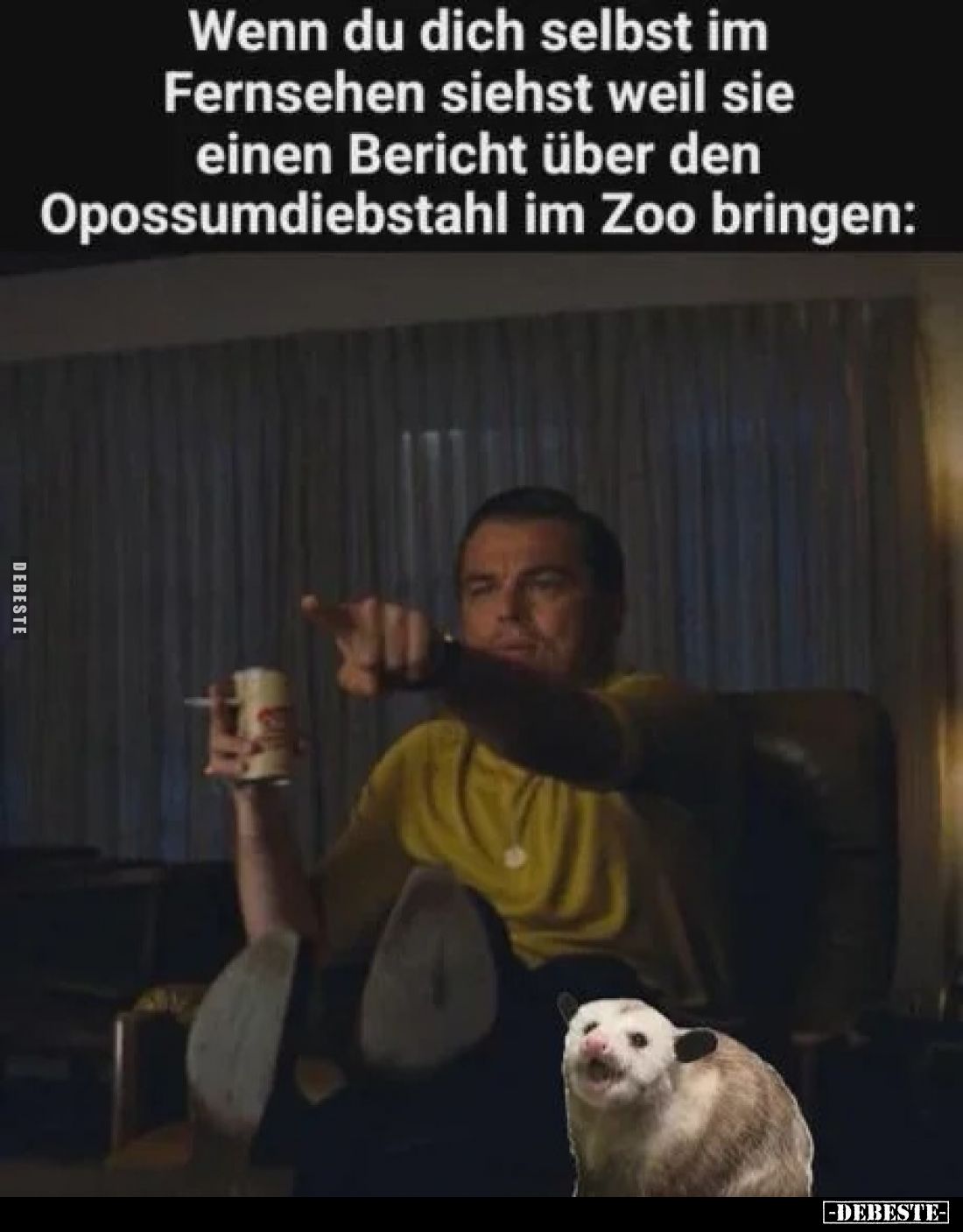 Wenn du dich selbst im Fernsehen siehst weil sie einen Bericht über den Opossumdiebstahl im Zoo bringen: