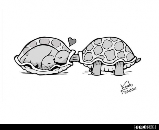  - Lustige Bilder | DEBESTE.de