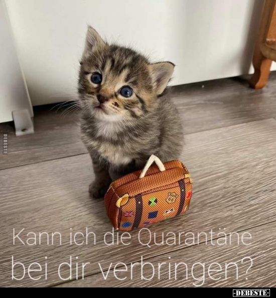 Kann ich die Quarantäne bei dir verbringen?..