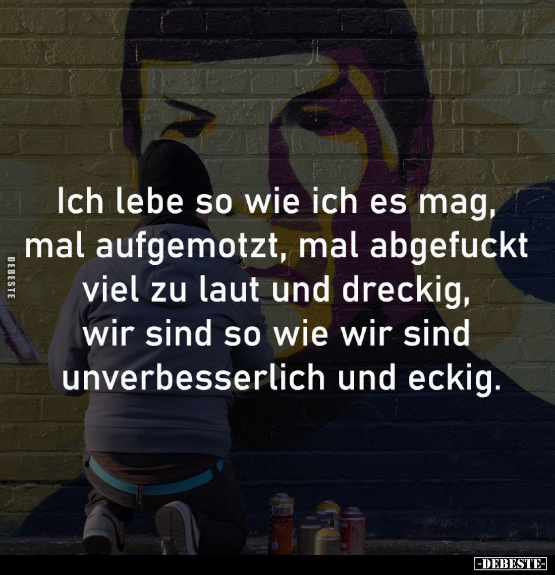 Ich lebe so wie ich es mag, 
mal aufgemotzt, mal abgefuckt 
viel zu laut und dreckig, 
wir sind so wie wir sind 
unverbes...