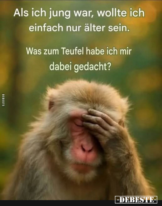  - Lustige Bilder | DEBESTE.de