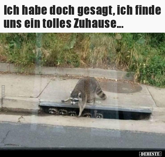 Ich habe doch gesagt, ich finde uns ein tolles.. - Lustige Bilder | DEBESTE.de