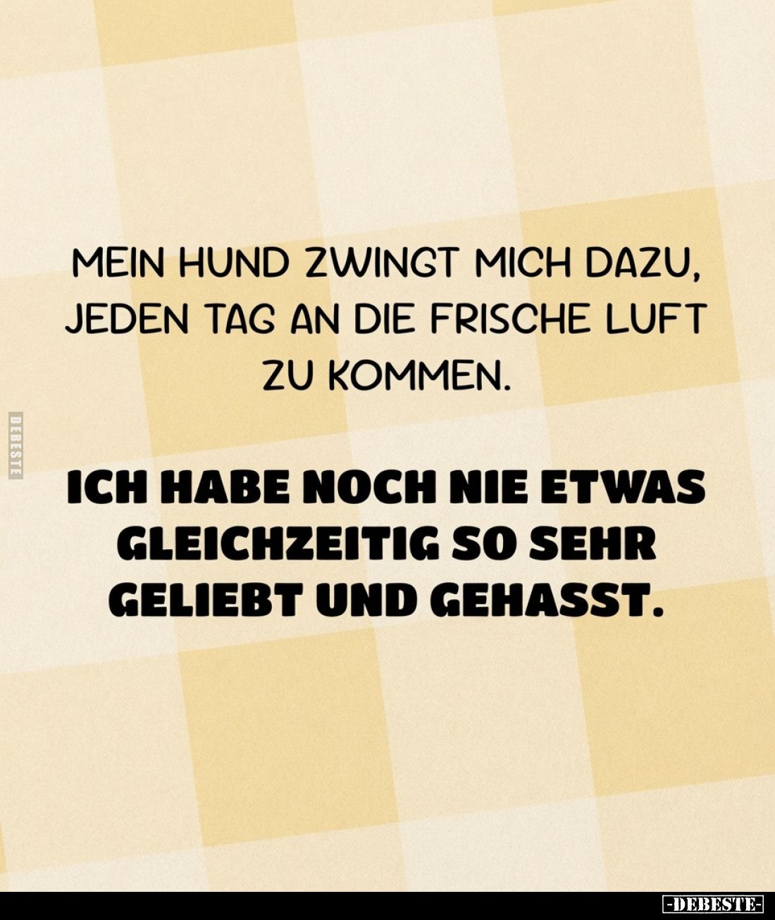 Mein Hund zwingt mich dazu, jeden Tag an die frische Luft zu kommen. Ich habe noch nie etwas gleichzeitig so sehr geliebt und...
