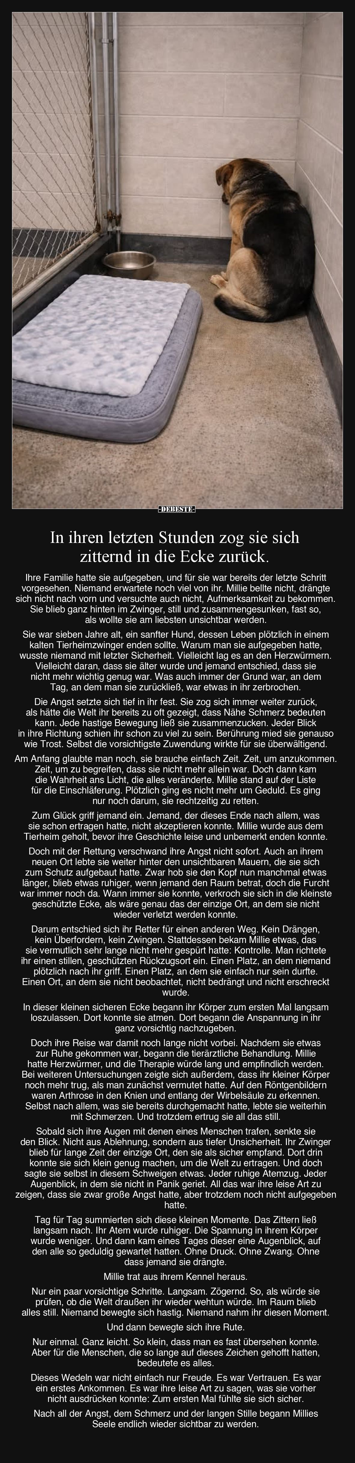 In ihren letzten Stunden zog sie sich zitternd in die.. - Lustige Bilder | DEBESTE.de