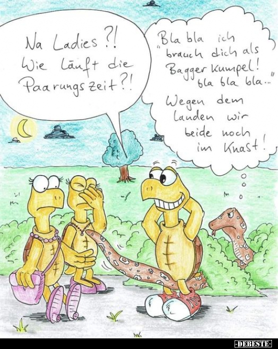 Na Ladies?! Wie läuft die Paarungszeit?!.. - Lustige Bilder | DEBESTE.de