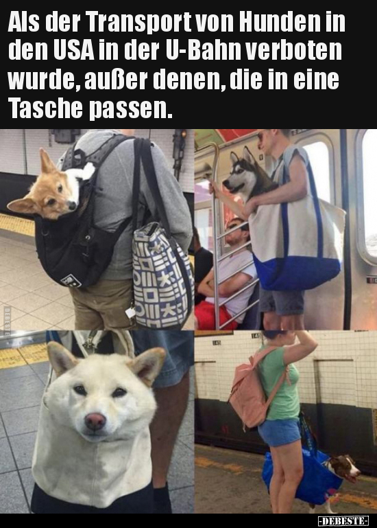 Als der Transport von Hunden in den USA in der U-Bahn.. - Lustige Bilder | DEBESTE.de