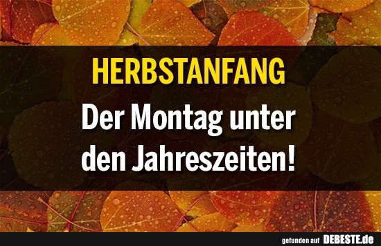 Herbstanfang Der Montag Unter Den Jahreszeiten Lustige Bilder Spruche Witze Echt Lustig