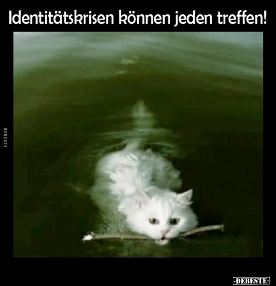 Identitätskrisen können jeden treffen!.. - Lustige Bilder | DEBESTE.de