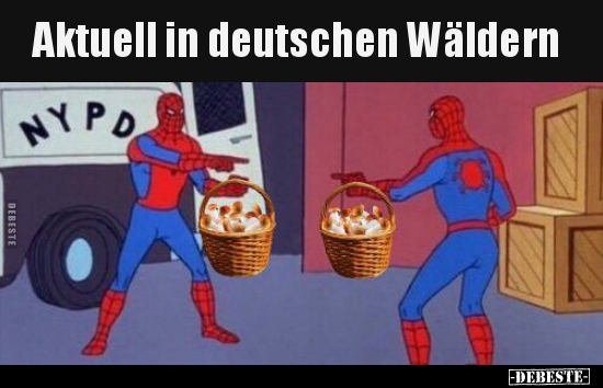 'Aktuell in deutschen Wäldern..