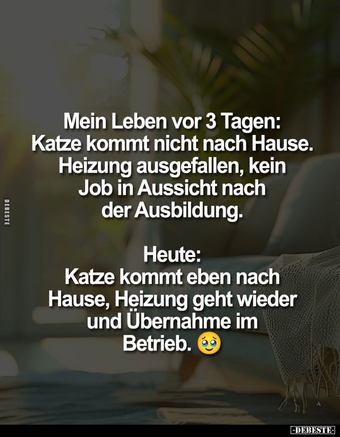 Mein Leben vor 3 Tagen: Katze kommt nicht nach Hause. Heizung ausgefallen, kein Job in Aussicht nach der Ausbildung.
Heute: ...