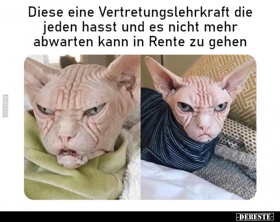 Diese eine Vertretungslehrkraft die jeden hasst und es..