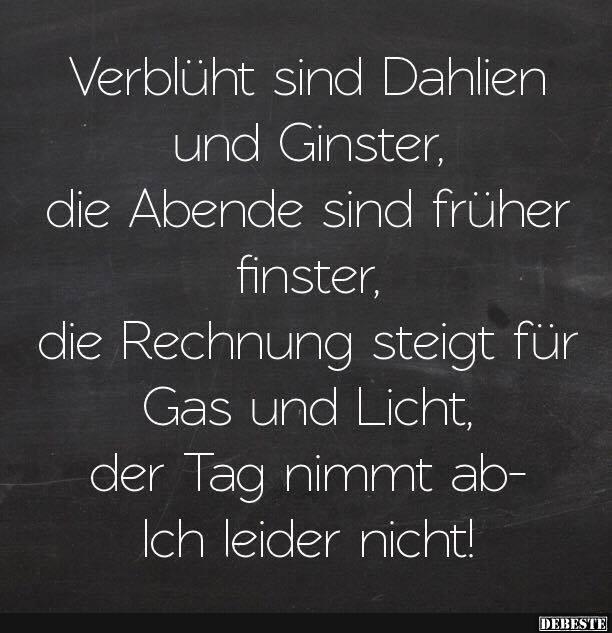 Verblüht sind Dahlien und Ginster..