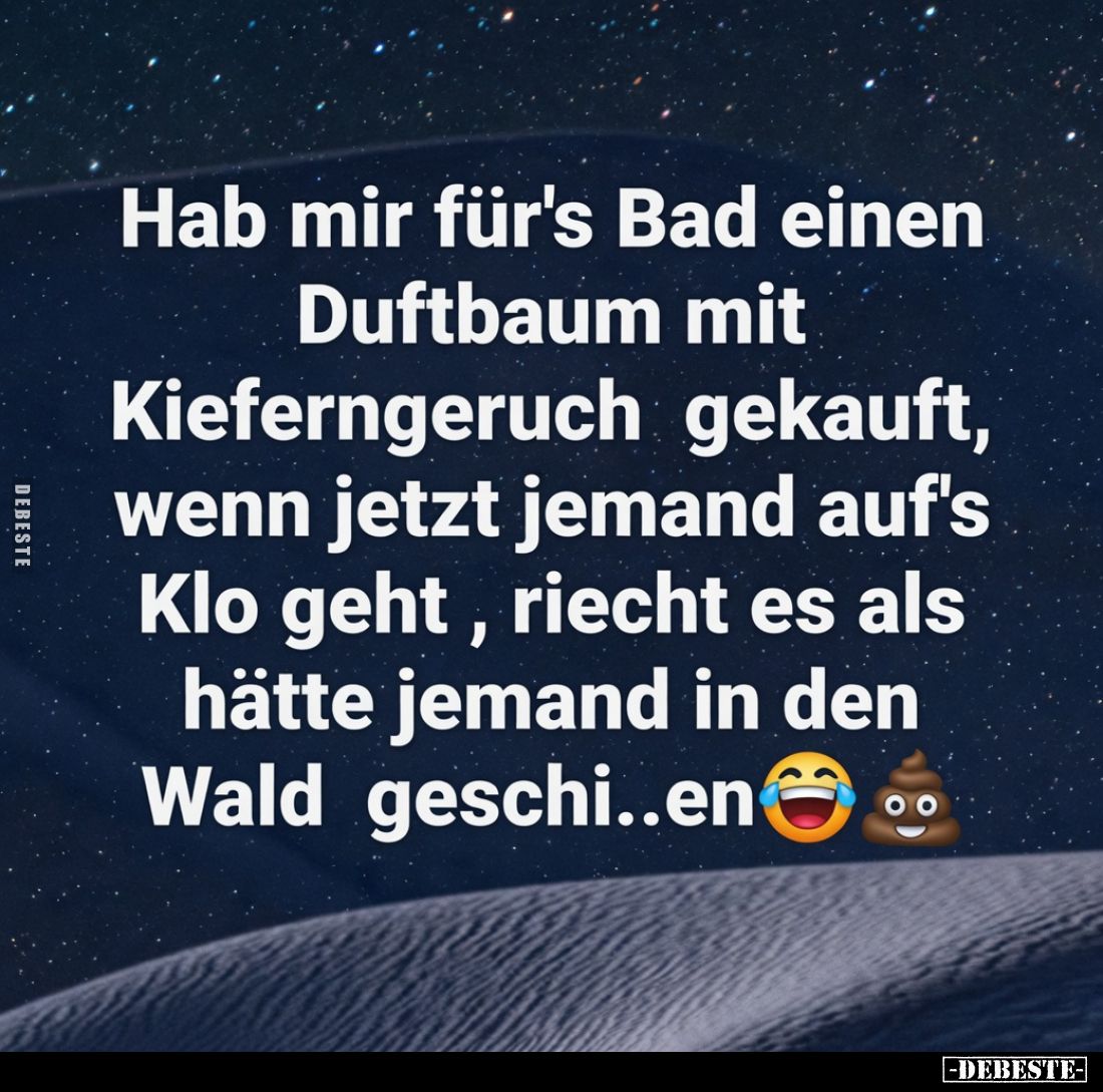 Hab mir für's Bad einen Duftbaum mit Kieferngeruch gekauft, wenn jetzt jemand auf's Klo geht , riecht es als hätte jemand in ...