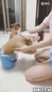 Etwas drastisch aber scheint zu wirken...