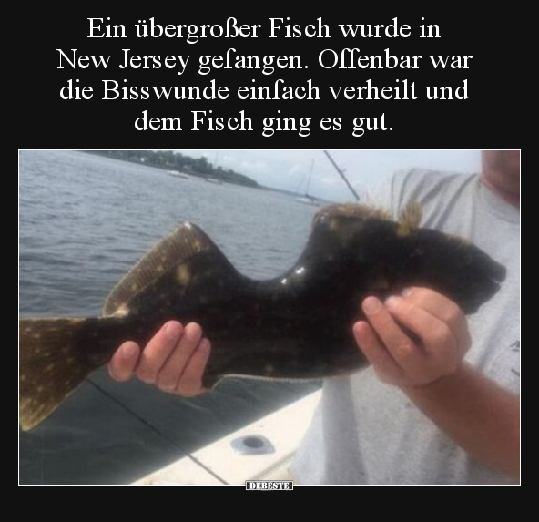 Ein übergroßer Fisch wurde in New Jersey gefangen... - Lustige Bilder | DEBESTE.de