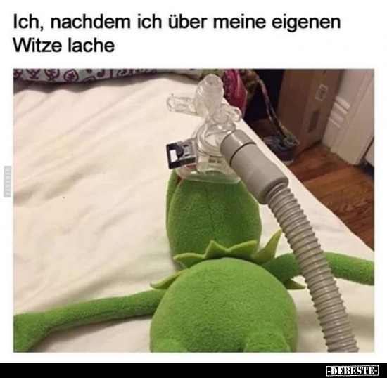 Ich, nachdem ich über meine eigenen Witze lache.. - Lustige Bilder | DEBESTE.de