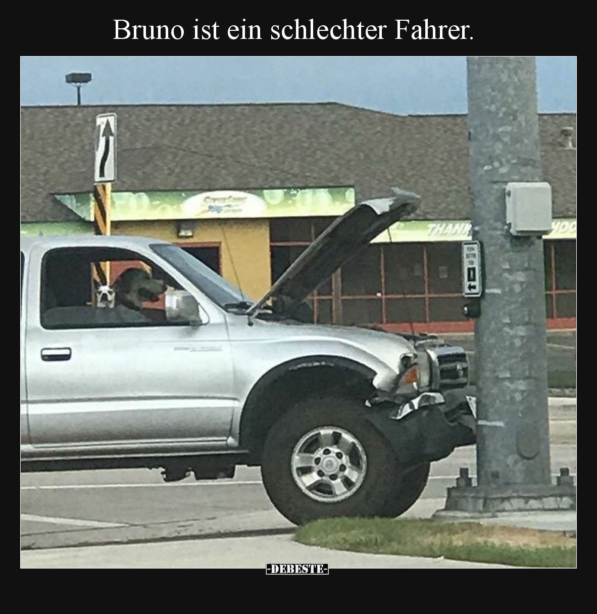 Bruno ist ein schlechter Fahrer.