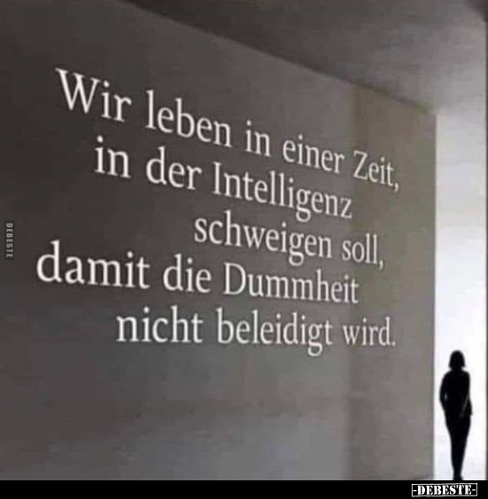 Wir leben in einer Zeit, in der Intelligenz.. - Lustige Bilder | DEBESTE.de