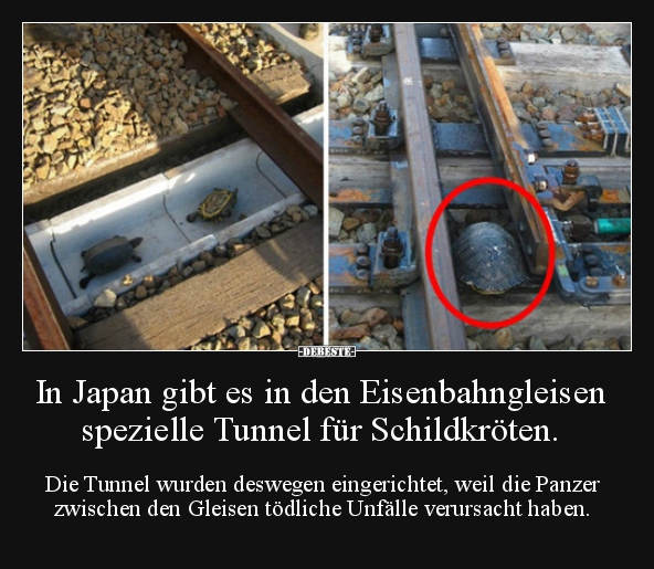 In Japan gibt es in den Eisenbahngleisen spezielle Tunnel.. - Lustige Bilder | DEBESTE.de