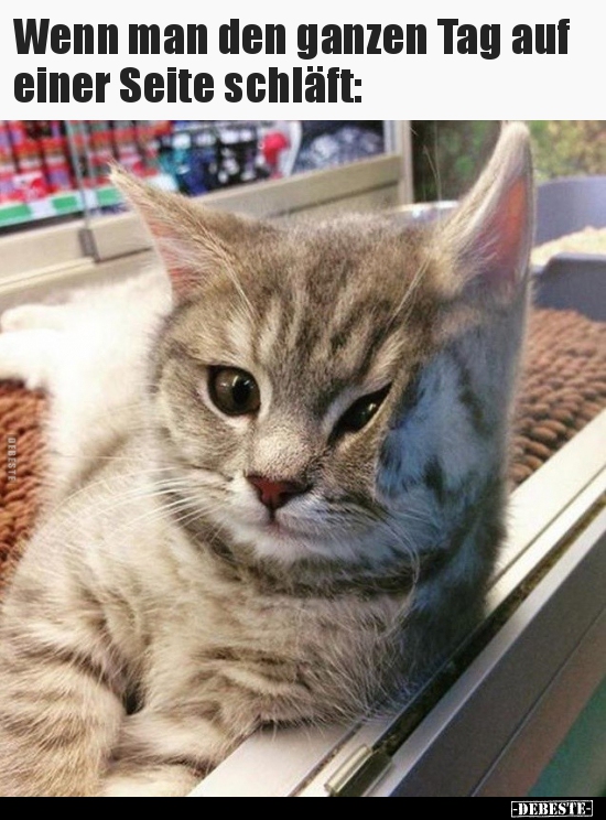 Wenn man den ganzen Tag auf einer Seite schläft..
