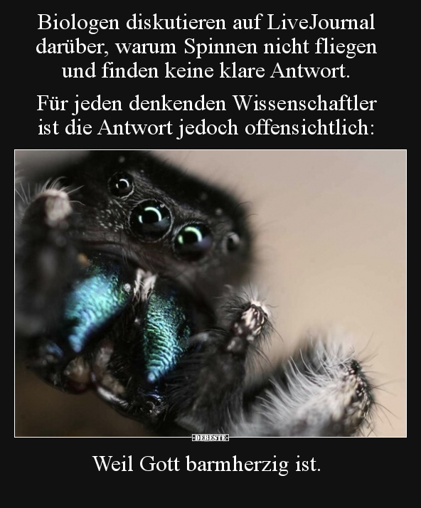 Biologen diskutieren auf LiveJournal darüber, warum Spinnen.. - Lustige Bilder | DEBESTE.de