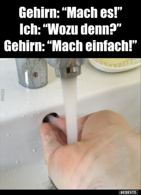 Gehirn: "Mach es!" Ich: "Wozu denn?"..