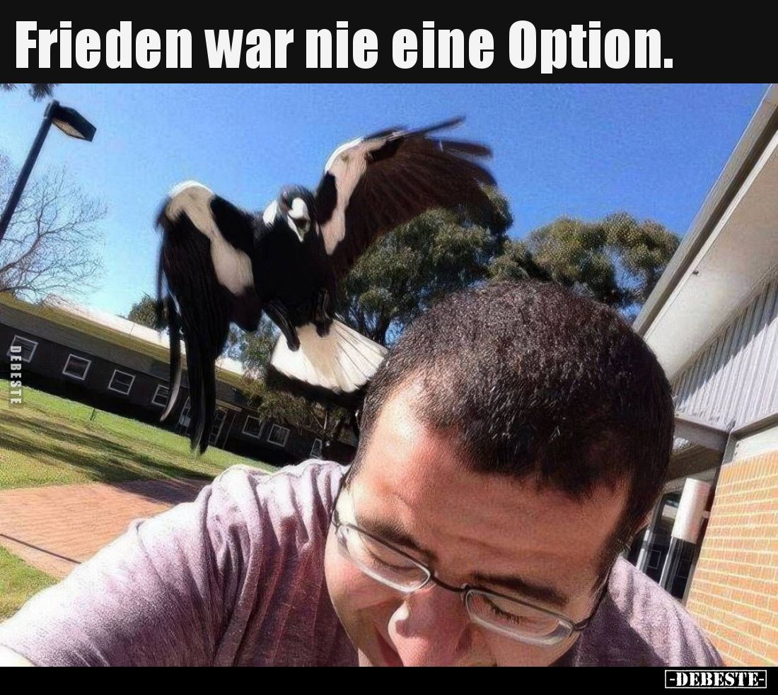 Frieden war nie eine Option...