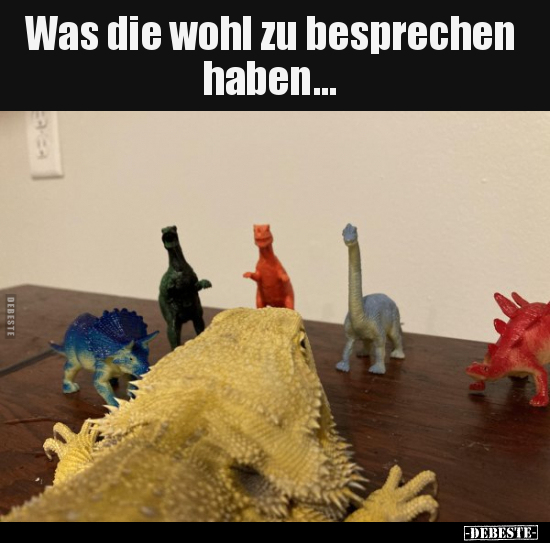 Was die wohl zu besprechen haben...