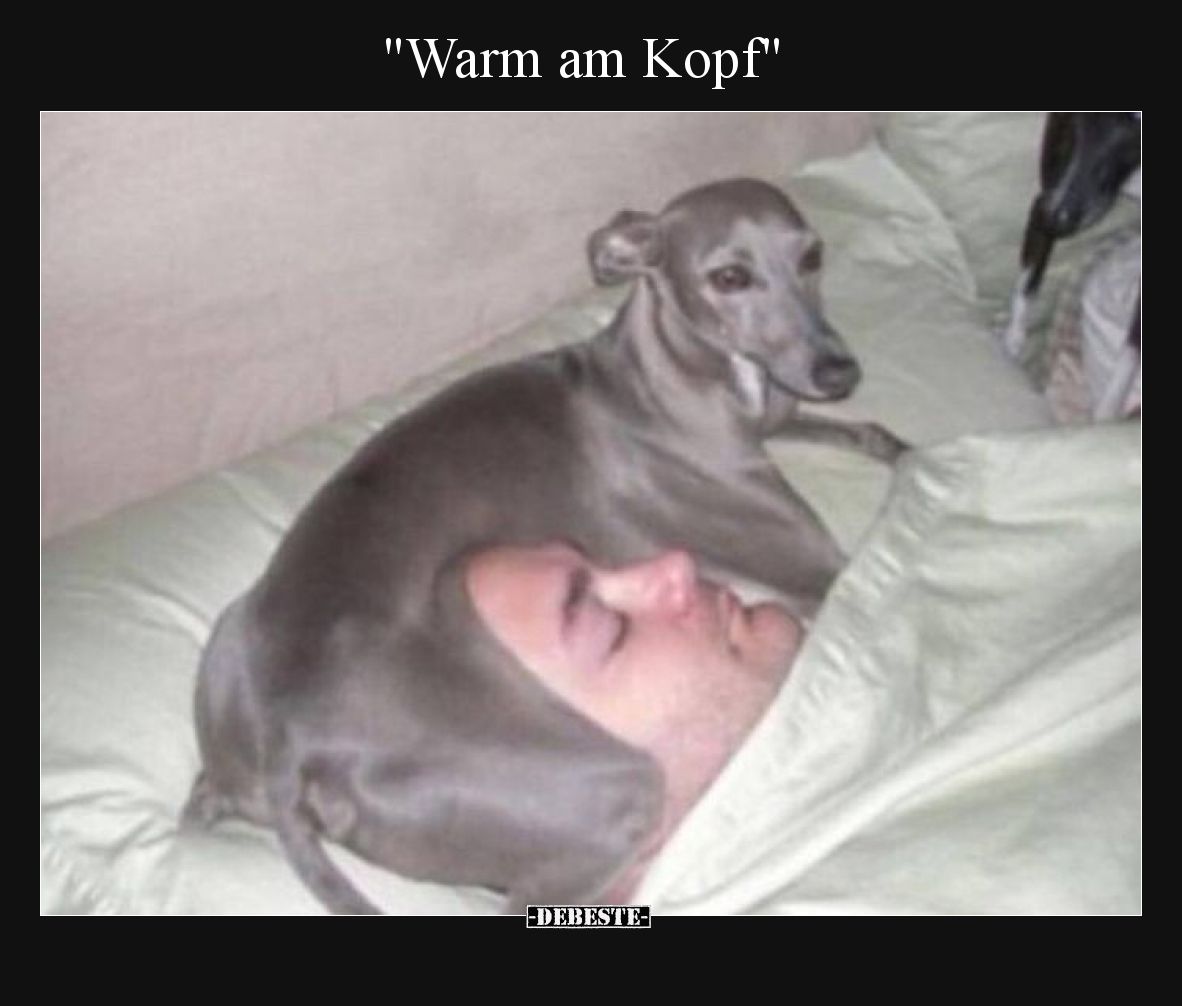 Warm am Kopf
