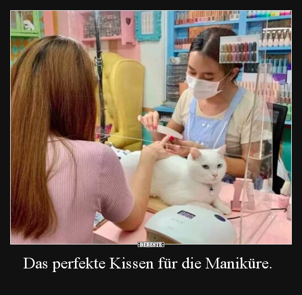 Das perfekte Kissen für die Maniküre... - Lustige Bilder | DEBESTE.de