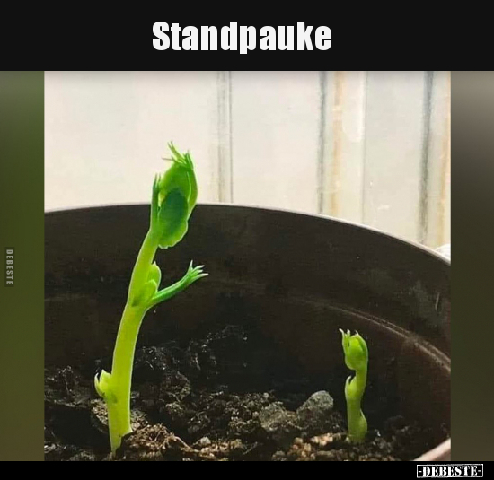 Standpauke..