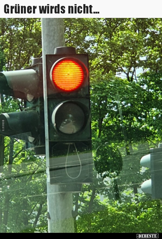 Grüner wirds nicht...