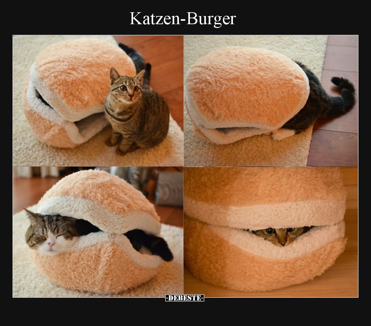 Katzen-Burger