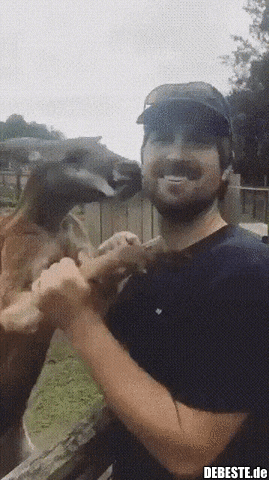 Es muss nicht immer Gewalt sein...