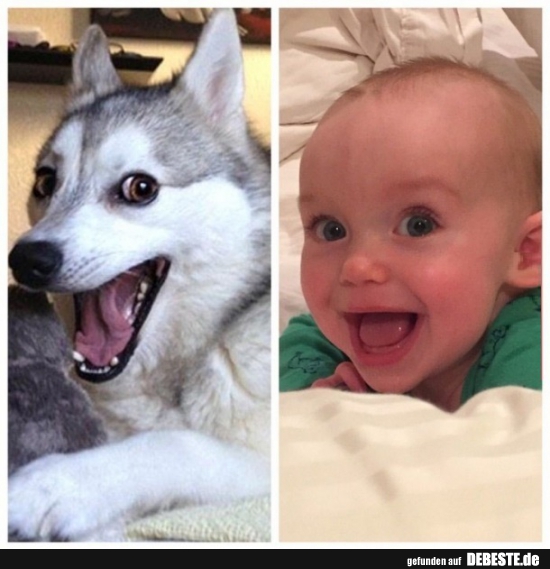 :) - Lustige Bilder | DEBESTE.de