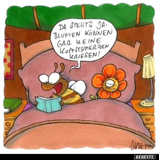 Da steht's ja Blumen können gar keine Kopfschmerzen.. - Lustige Bilder | DEBESTE.de