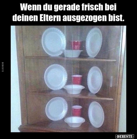 Wenn du gerade frisch bei deinen Eltern ausgezogen.. - Lustige Bilder | DEBESTE.de