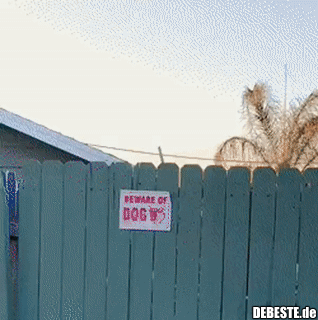 Vorsicht vor dem Hündchen..
