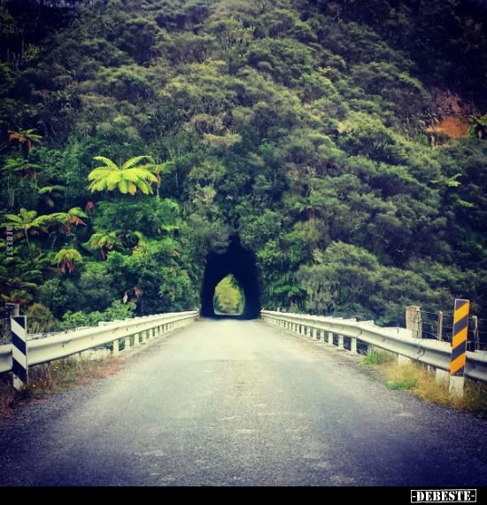  - Lustige Bilder | DEBESTE.de