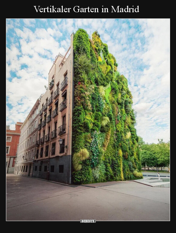 Vertikaler Garten in Madrid.. - Lustige Bilder | DEBESTE.de