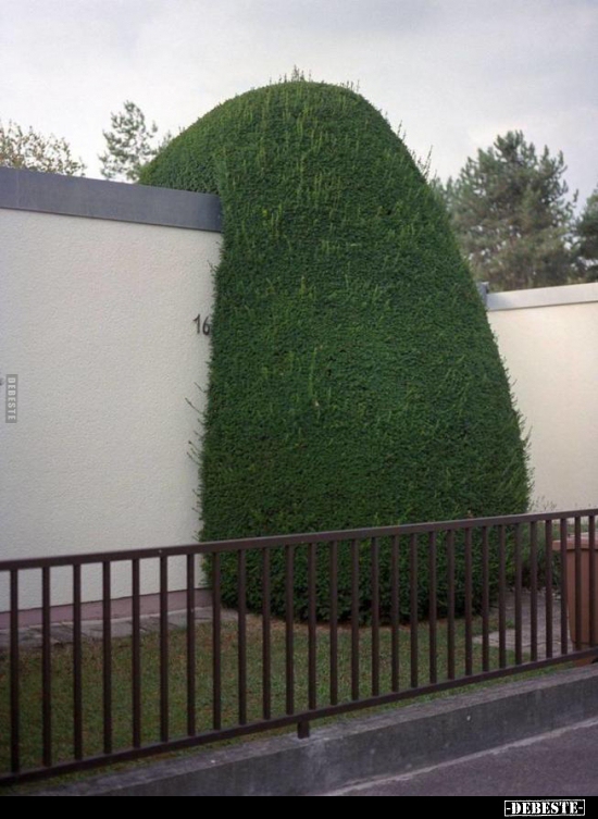  - Lustige Bilder | DEBESTE.de