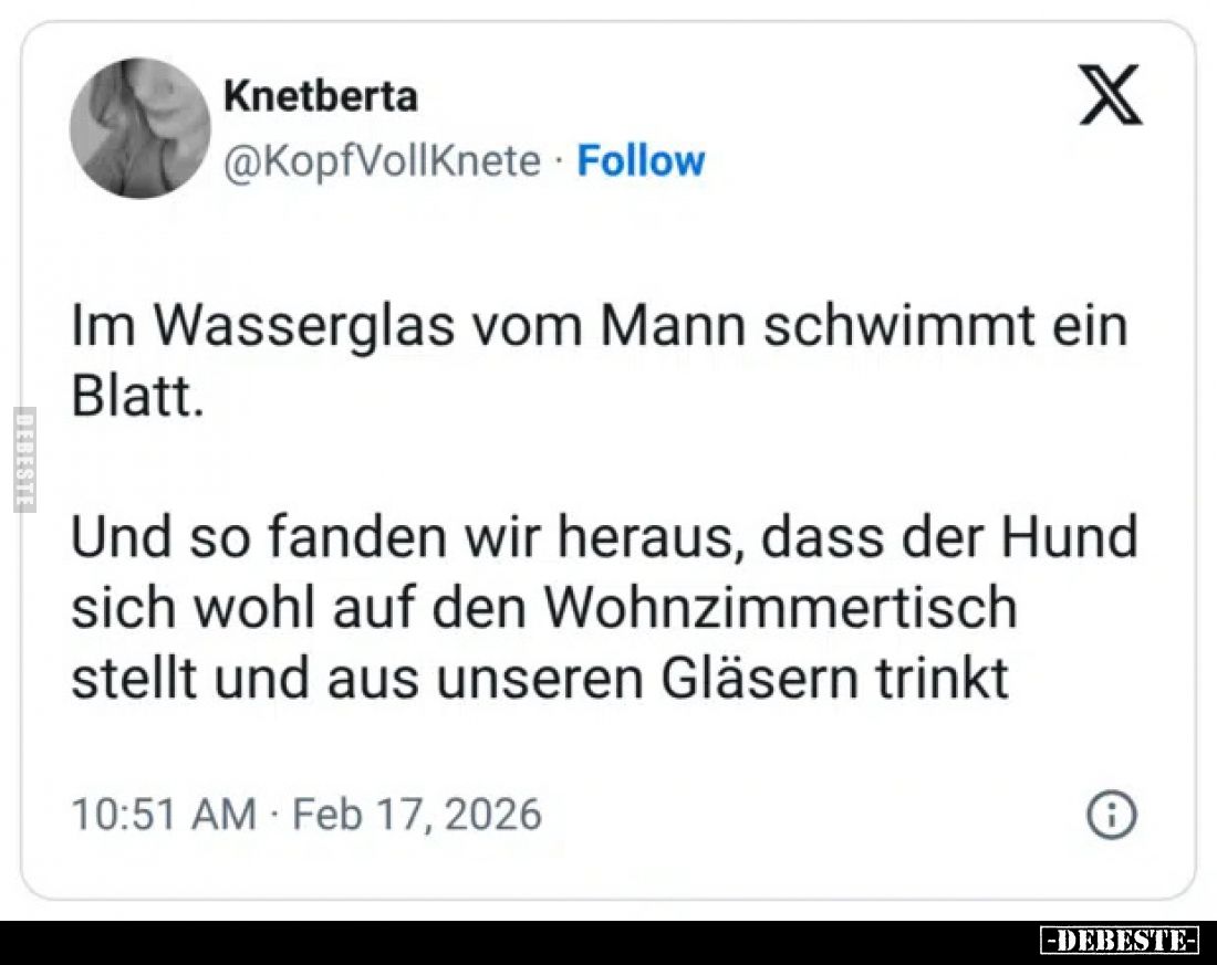 Im Wasserglas vom Mann schwimmt ein Blatt.
Und so fanden wir heraus, dass der Hund sich wohl auf den Wohnzimmertisch stellt ...