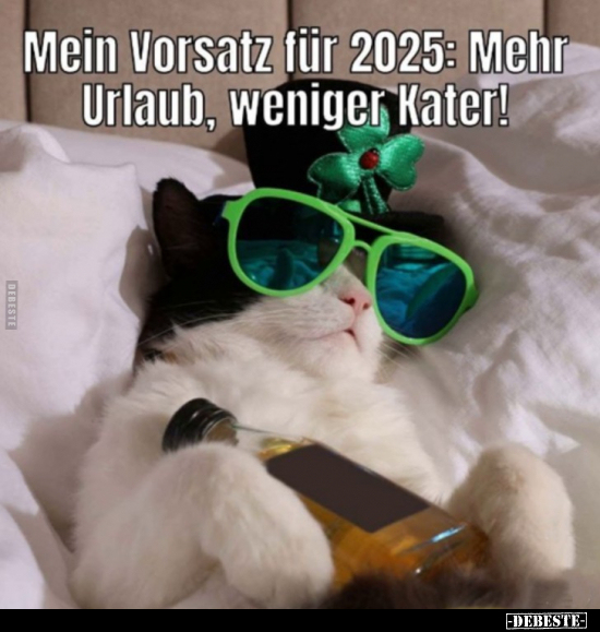 Urlaub, Kater