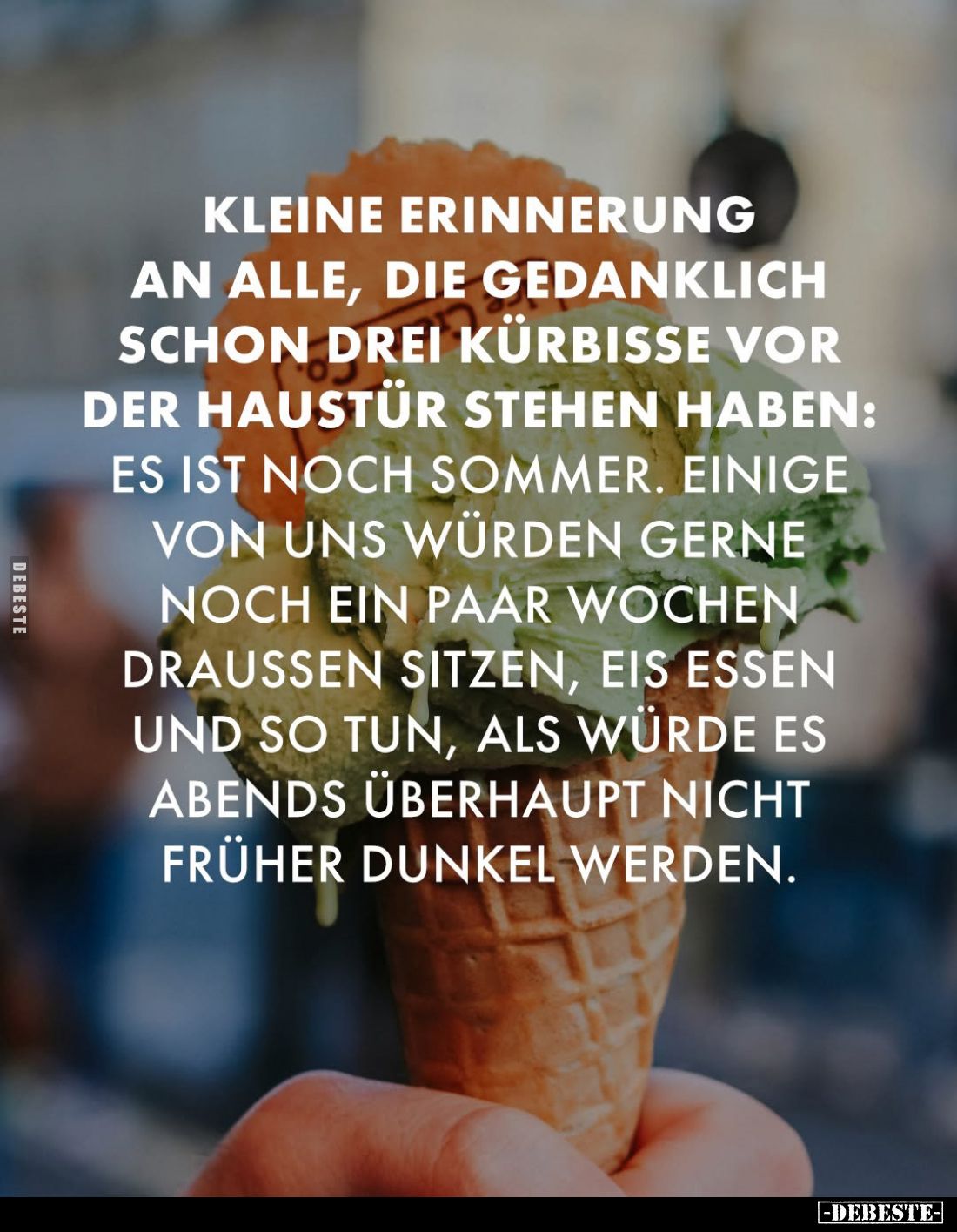 Kleine Erinnerung an alle, die gedanklich schon drei Kürbisse vor der Haustür stehen haben: Es ist noch Sommer. Einige von un...