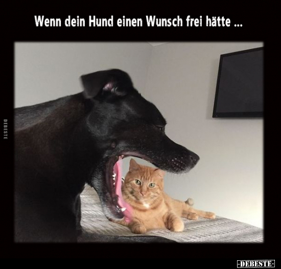Wenn dein Hund einen Wunsch frei hätte... - Lustige Bilder | DEBESTE.de