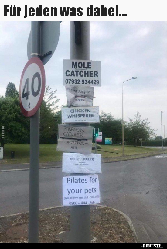 Für jeden was dabei...