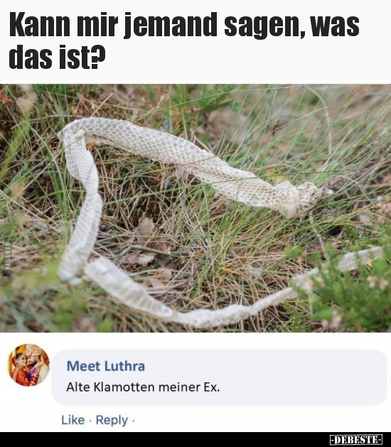 Kann mir jemand sagen, was das ist?..